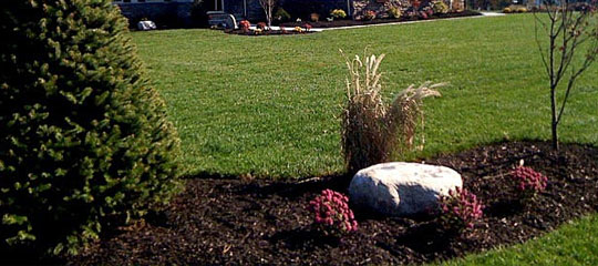 Commercial & Community Maintenance